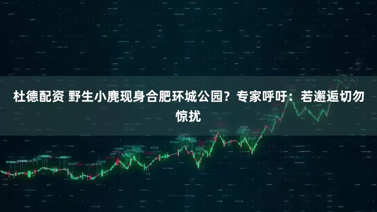 杜德配资 野生小麂现身合肥环城公园？专家呼吁：若邂逅切勿惊扰