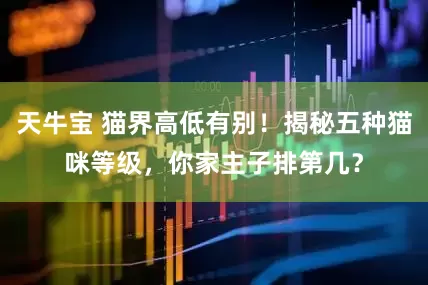 天牛宝 猫界高低有别！揭秘五种猫咪等级，你家主子排第几？
