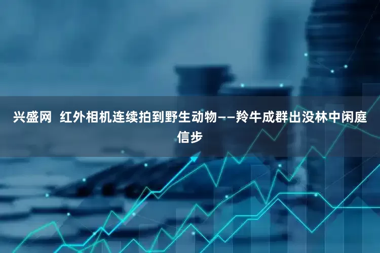 兴盛网  红外相机连续拍到野生动物——羚牛成群出没林中闲庭信步