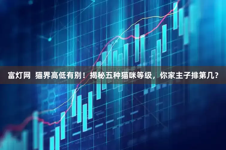 富灯网  猫界高低有别！揭秘五种猫咪等级，你家主子排第几？