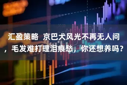 汇盈策略  京巴犬风光不再无人问，毛发难打理泪痕愁，你还想养吗？