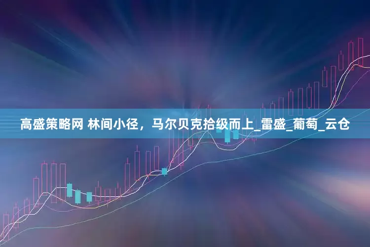 高盛策略网 林间小径，马尔贝克拾级而上_雷盛_葡萄_云仓