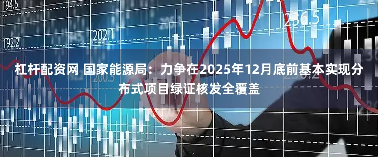 杠杆配资网 国家能源局：力争在2025年12月底前基本实现分布式项目绿证核发全覆盖